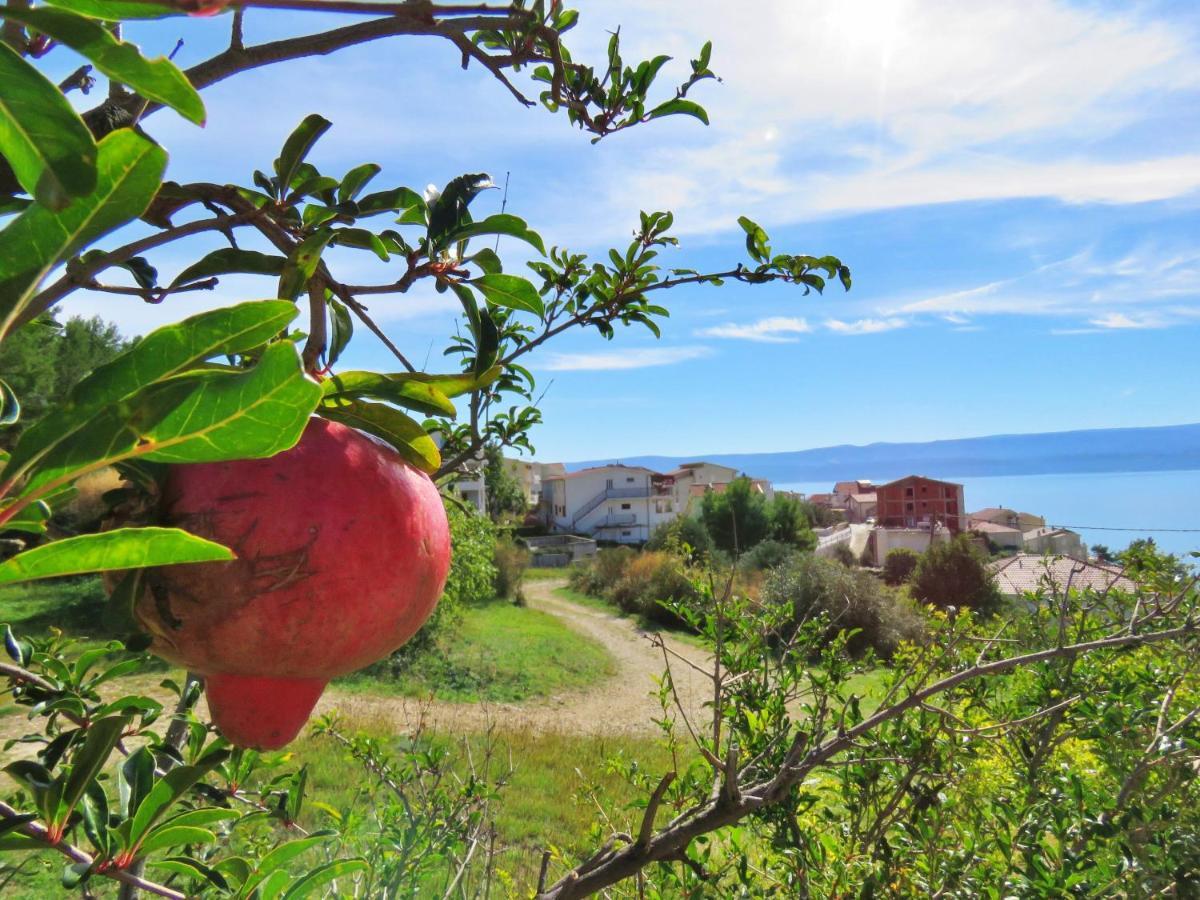 אומיס Holiday Home Jozo מראה חיצוני תמונה