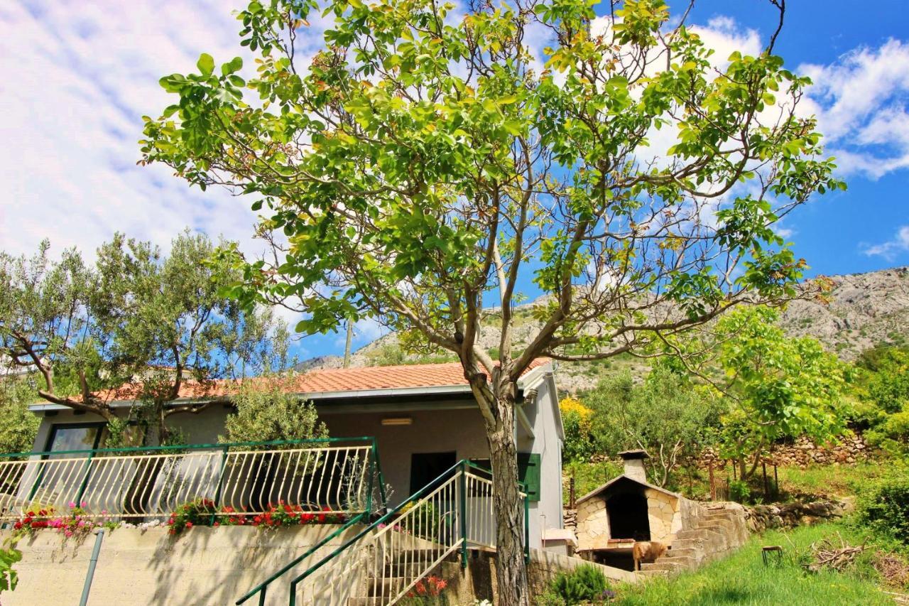 אומיס Holiday Home Jozo מראה חיצוני תמונה